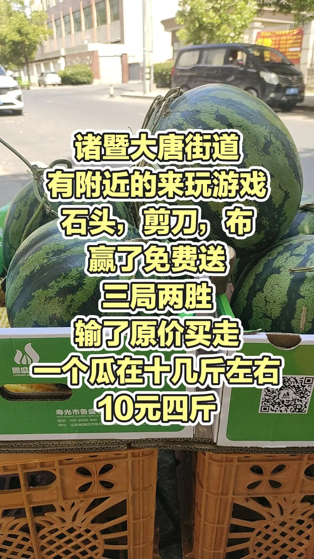 每日分享
