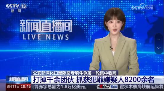 8200多人一夜落网！这哪是抓罪犯，这是把藏在地下的雷一锅端了！
 
公安部8月