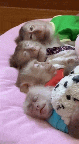 在学校里也是这样，总有那么几个不肯午睡 