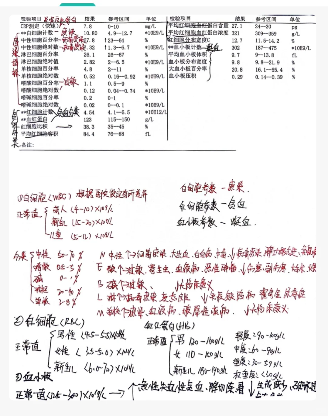 血常规报告怎么看