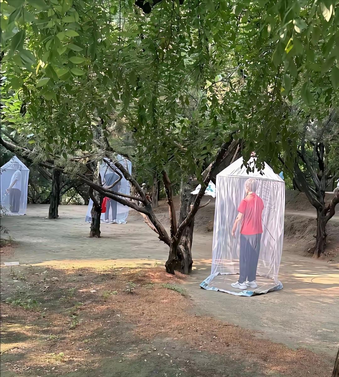 这些老年人清晨在公园练的什么功？见过这种林间“单人蚊帐小屋”吗？
公园里大树下，