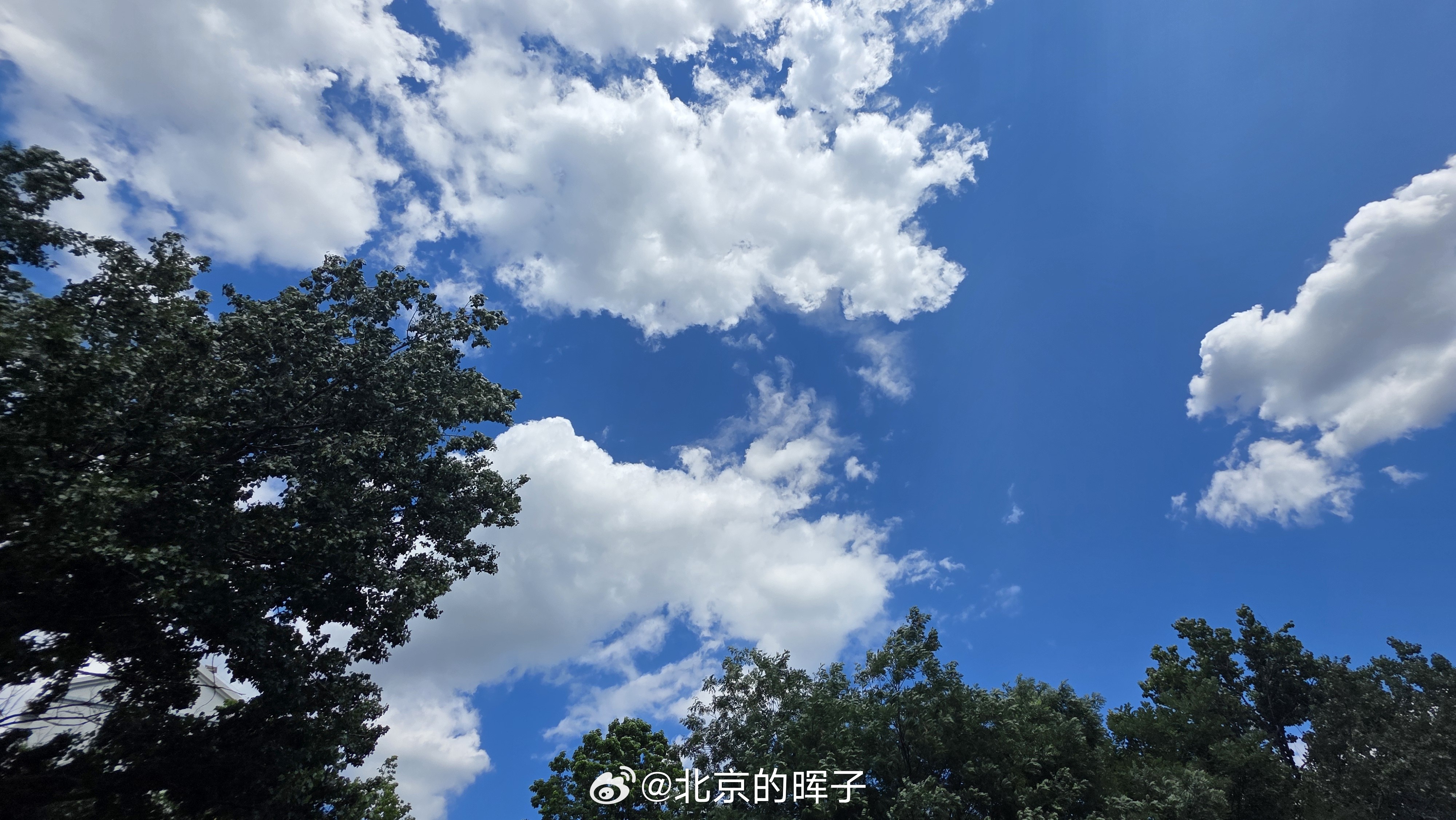 这天气，是不是要立秋了？ 北京·后厂村路