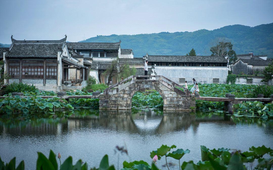 #游学徽州# 7月14日周末行程招募中 #黄山[超话]# 【听】——蝉鸣蛙语、鱼