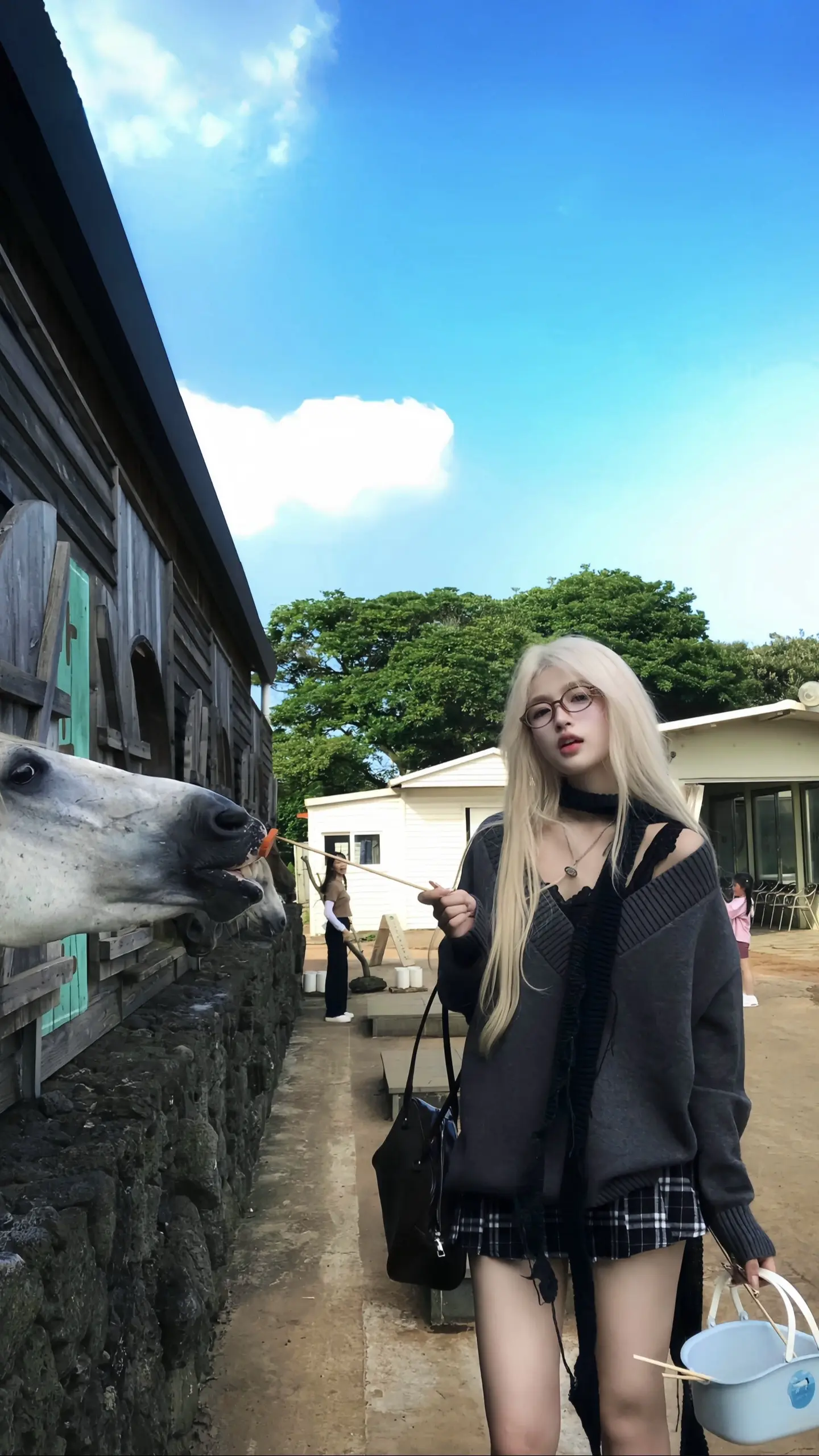 花开花落花无悔 缘来缘去缘如水。