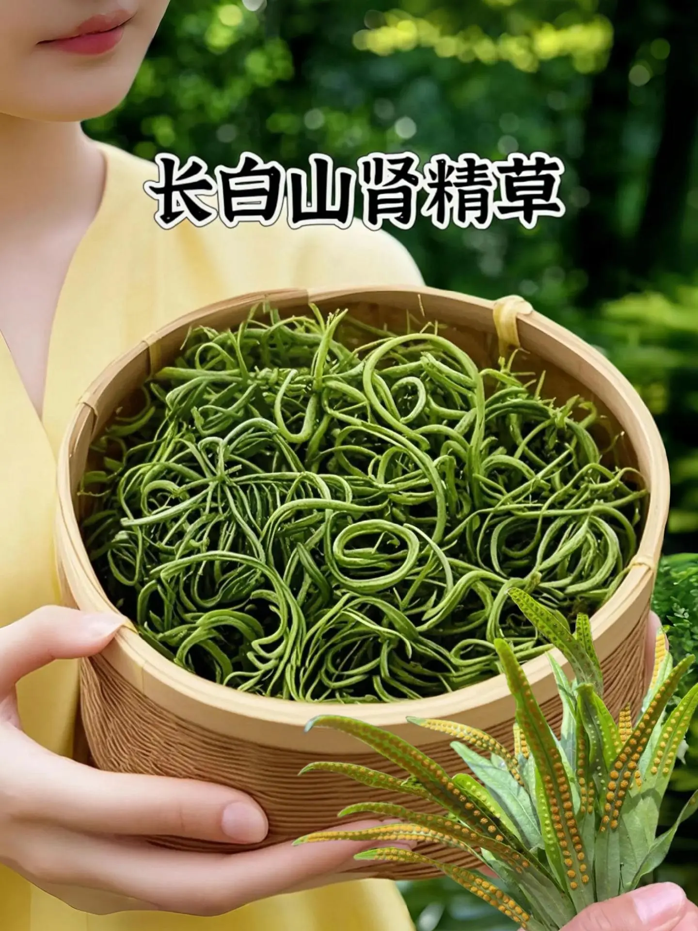 家人们谁懂啊～肾精草是个宝～你们有听说过长白山里有一种草叫肾精草的吗？...