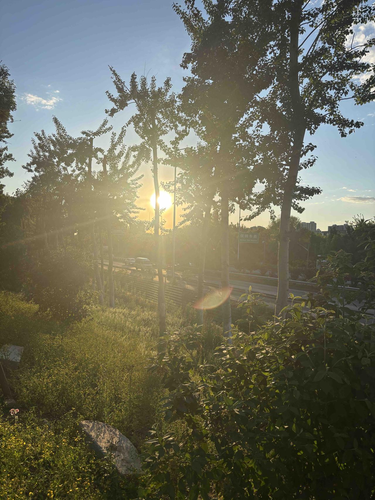 踏莎行•春园景色
 
文//熏墨
远岫含青，平波铺练。残霞漫染汀洲岸。
疏林映水