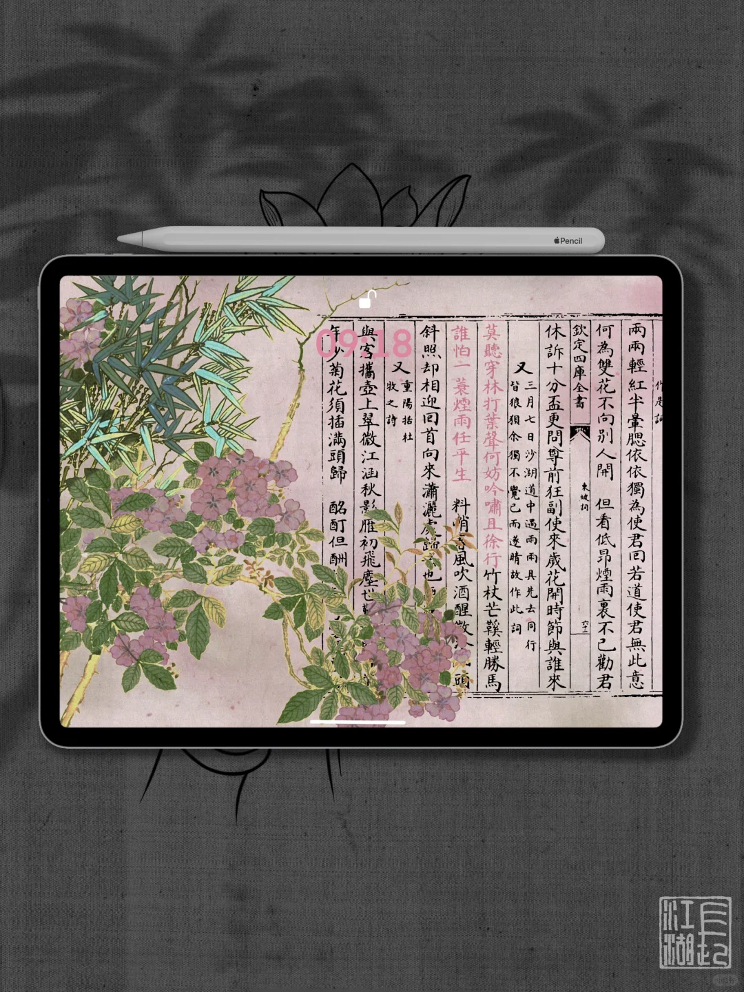 誰怕？一蓑烟雨任平生｜定风波｜ipad壁纸