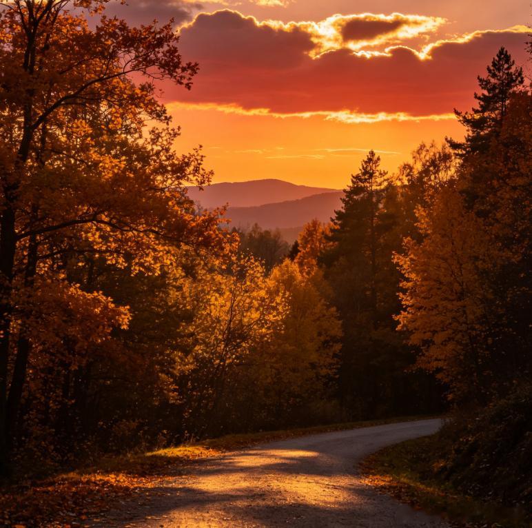 诗歌 今天分享舒婷的诗歌《黄昏》。这首诗个读起来好美，生机勃勃的暮春，夜来香层层