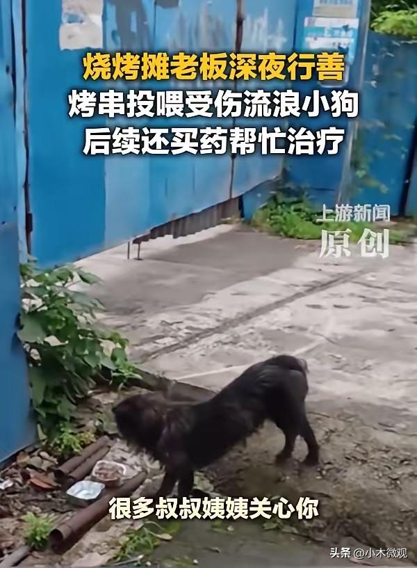 “太暖心了！”重庆，一烧烤摊老板深夜收摊时，发现一只受伤的小狗躲在摊位边上，眼睛