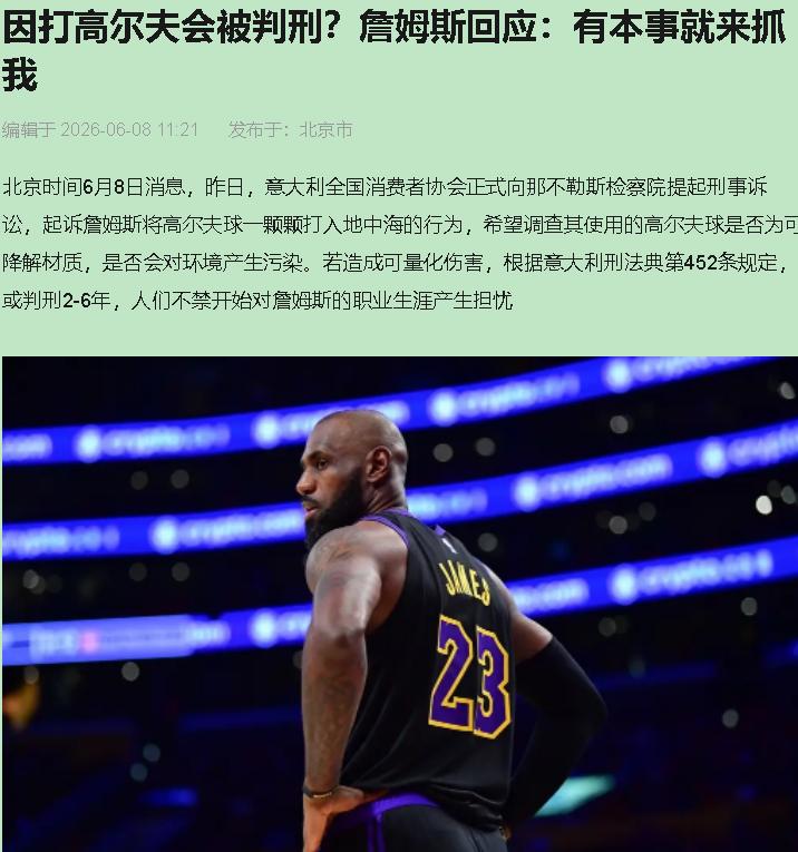 "勒布朗·詹姆斯，四十一岁，NBA历史得分王，亿万富翁——现在多了个新头衔：被告