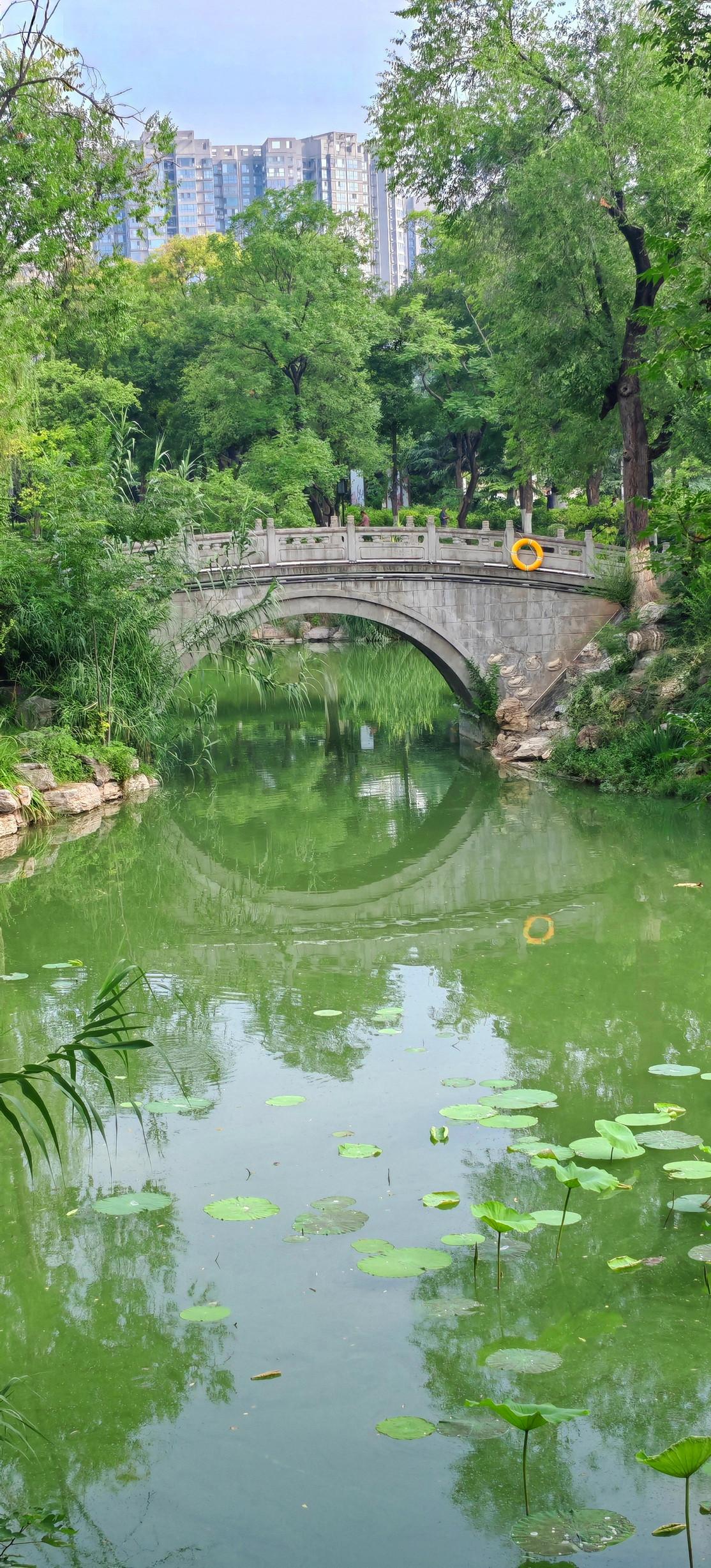 来兴庆宫公园，享秋日幽静！夏末秋初的午后，拍了一组照片——龙池的水面铺满细碎的光