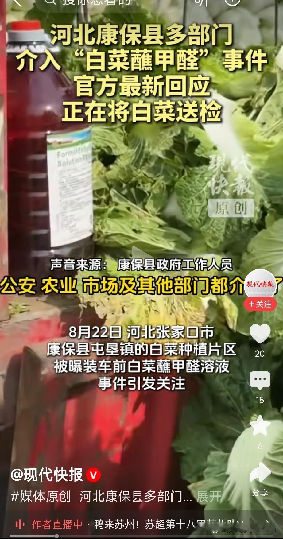 你敢信？你昨天在菜市场买的那颗水灵灵的大白菜，很可能是从“甲醛”里捞出来的。
