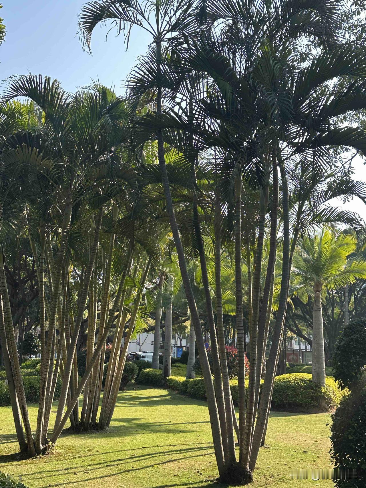 分享一下你随手拍下的照片