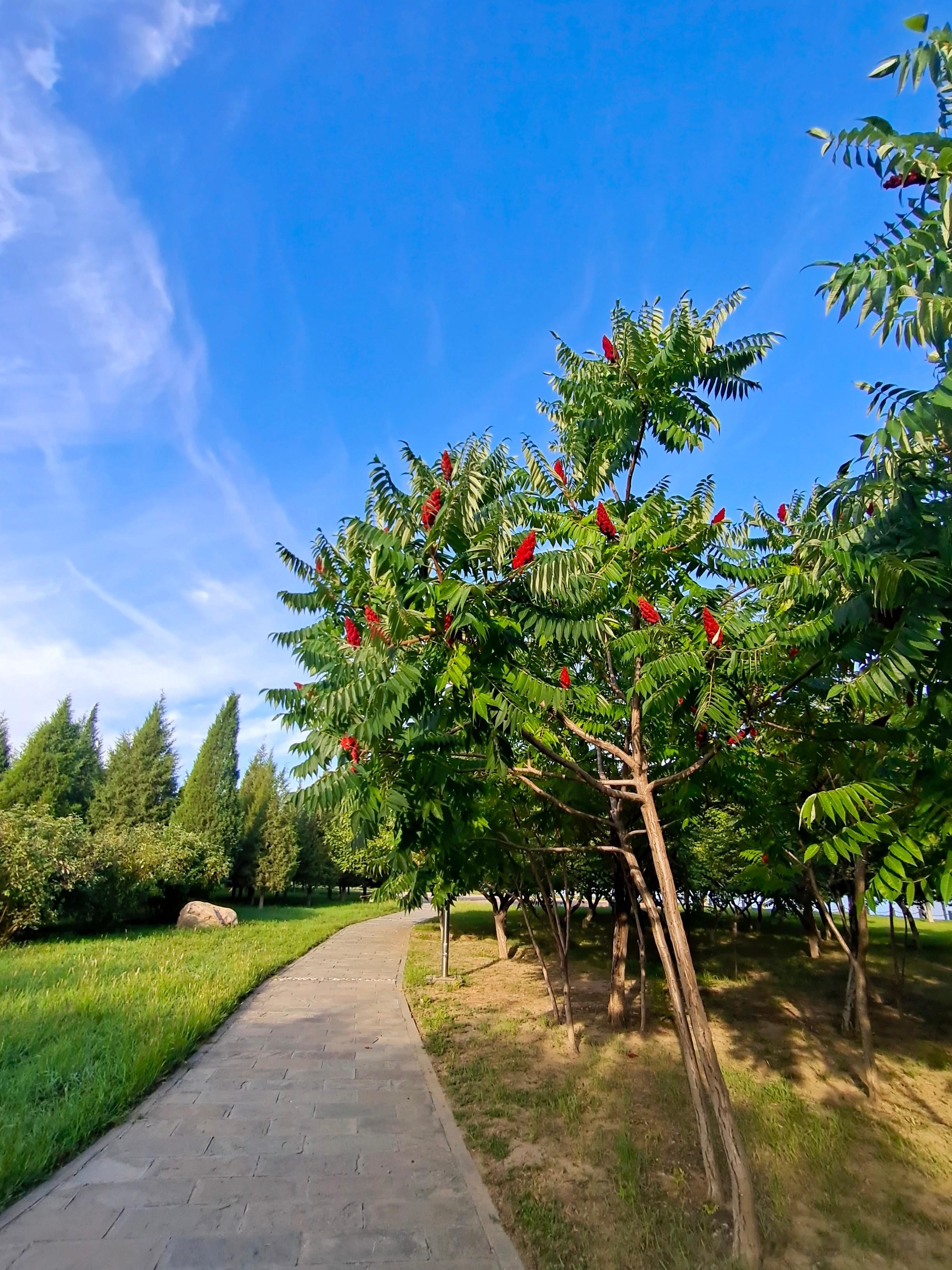 #处暑#“离离暑云散，袅袅凉风起”炸毛小孩今早已经穿外套了，秋天来了...#早安
