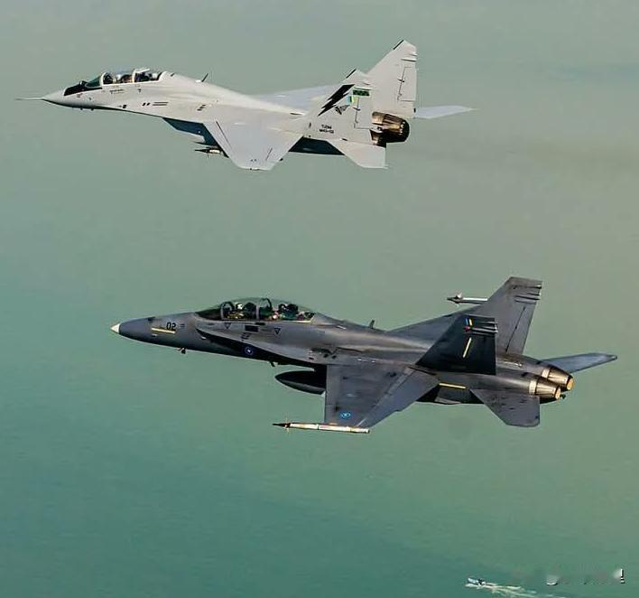 米格29、FA-18战机同框