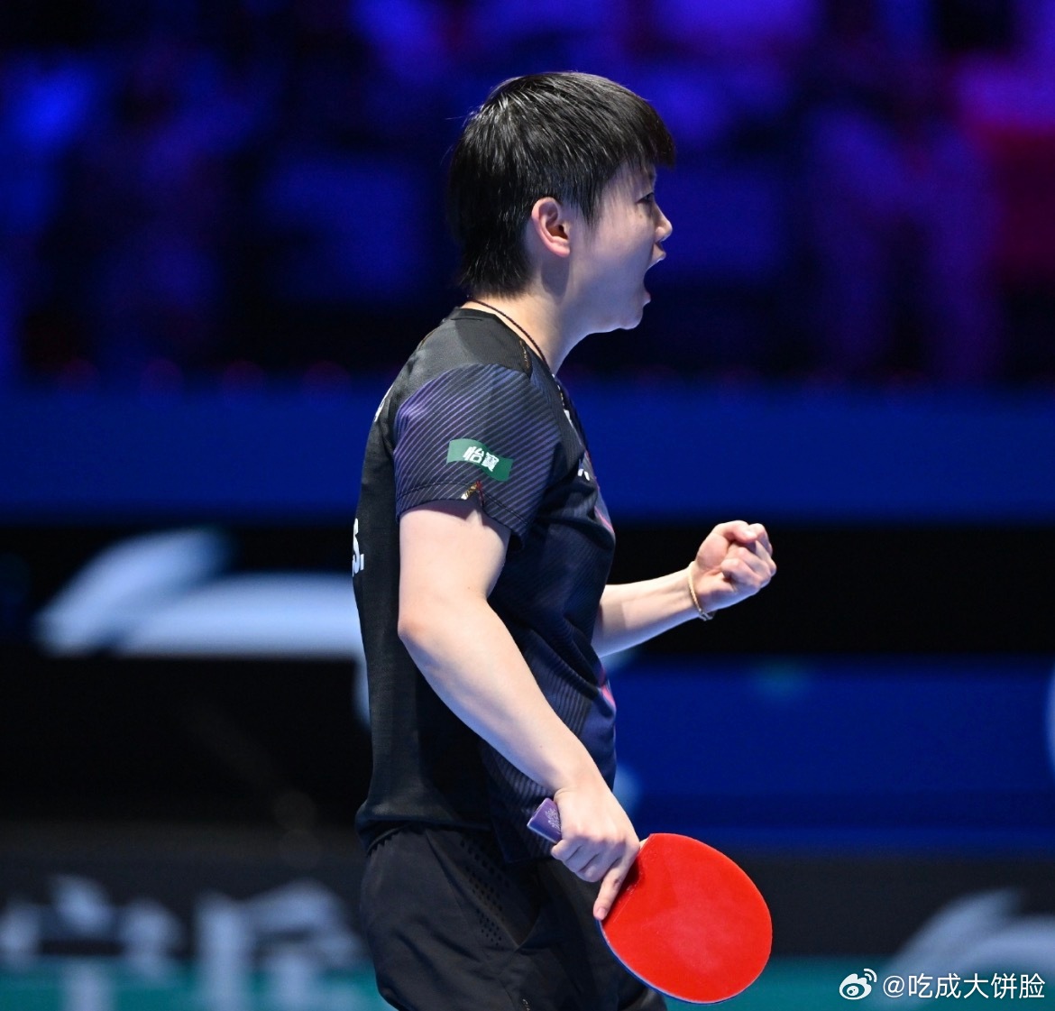 孙颖莎长文总结世界杯看完孙颖莎在澳门世界杯的表现，真是热血沸腾！决赛面对王曼昱那