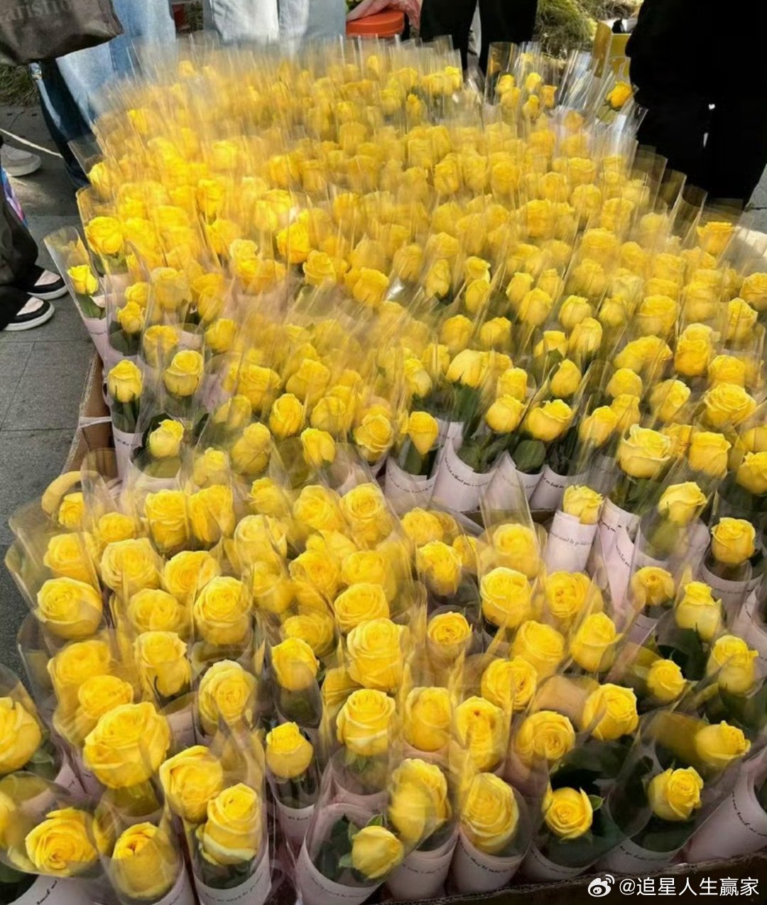 田栩宁今日F1活动现场人气，好多人啊！（周迅语气）粉丝双向奔赴 