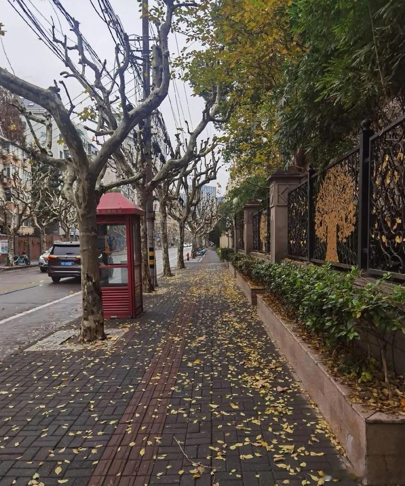 心里话       处世之道在于容，心宽，路则广；量大，福自来。        