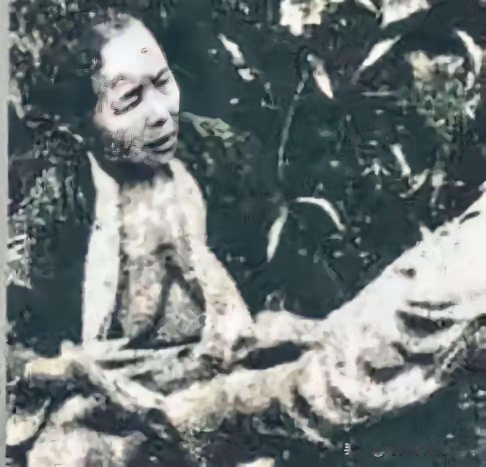 这张照片是日军拍的，后来在旧档案里翻出来，发黄，边角卷了，但人脸清清楚楚。
他们