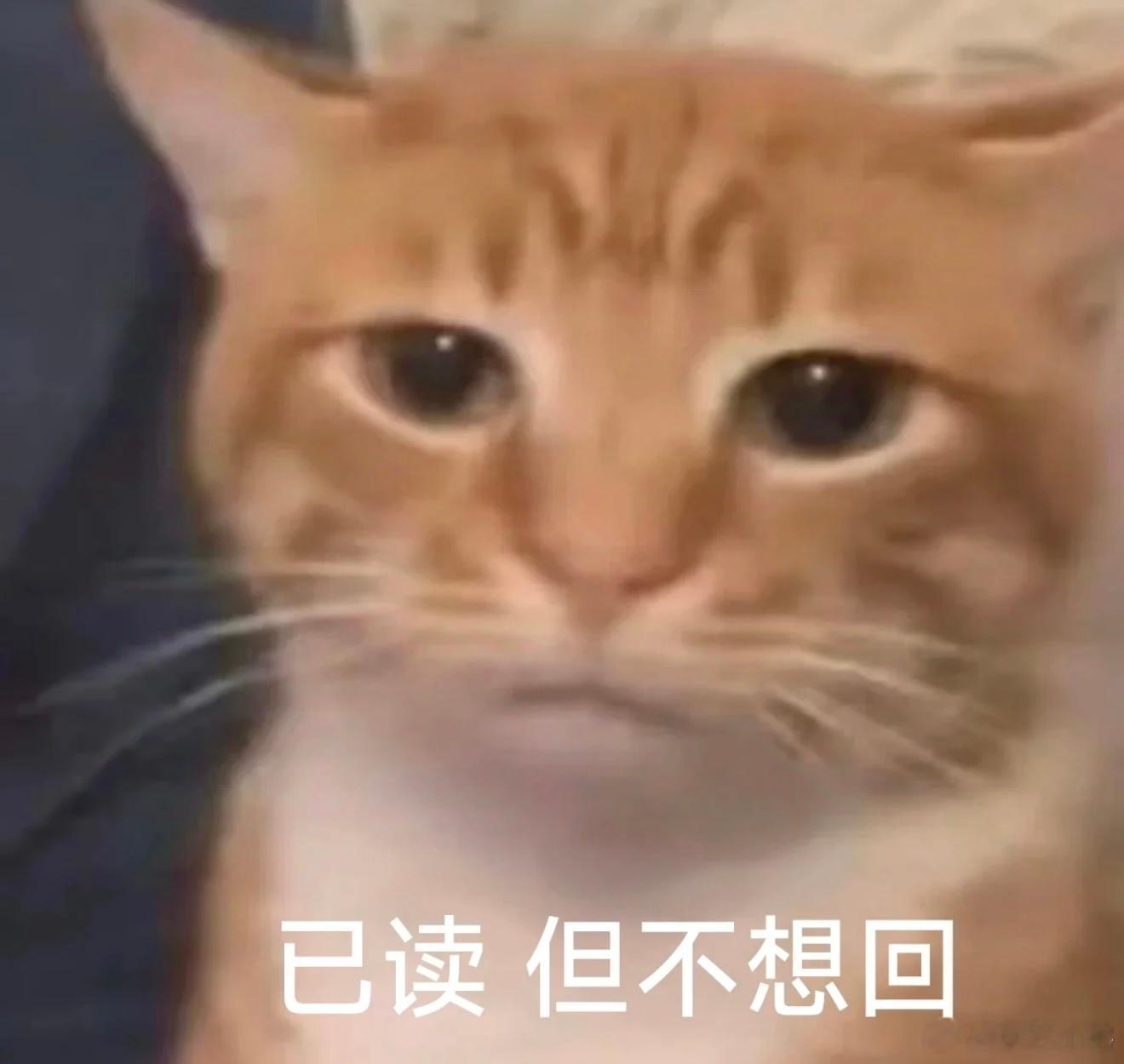 微信不做已读功能 如果做了已读难道不是自寻死路？直接果断放弃。 ​​​