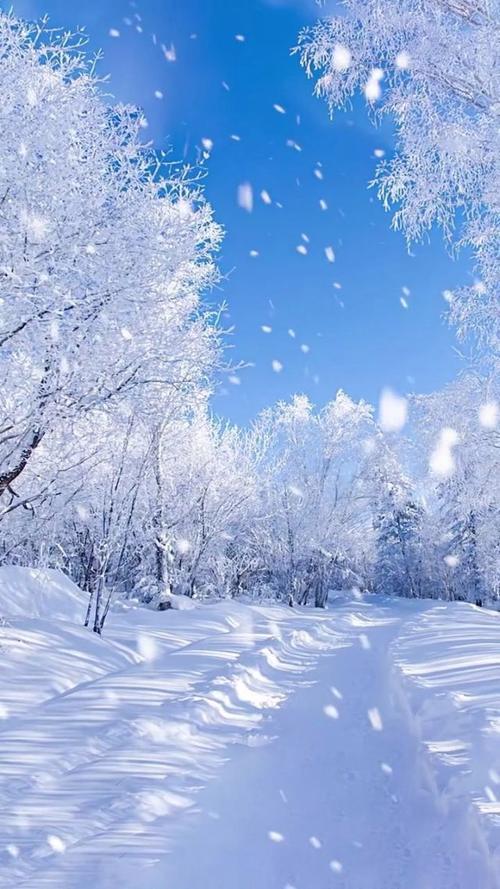 上联：雨下千条线，邀对下联雪飘万朵花