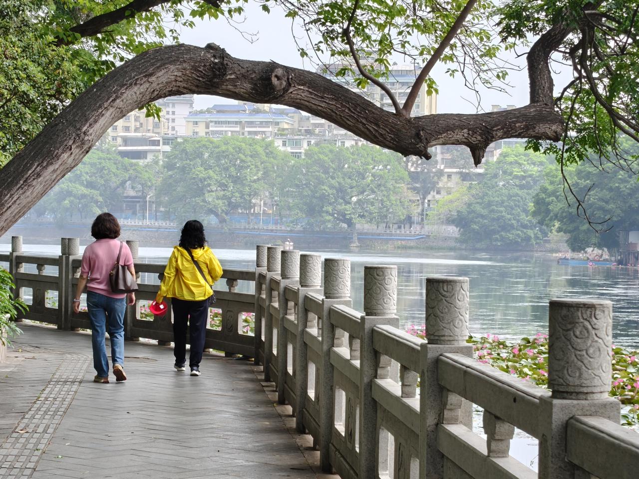 惠州西湖   百姓乐园
      早就听说惠州是深圳市的后花园。到了惠州，你就