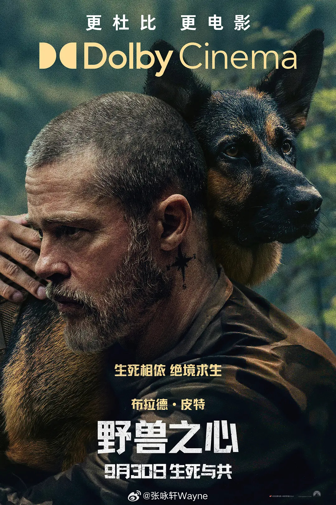 【野兽之心】（美国.2026）阿拉斯加的旷野托举着这段人狗同行的孤旅，苍山覆雪，