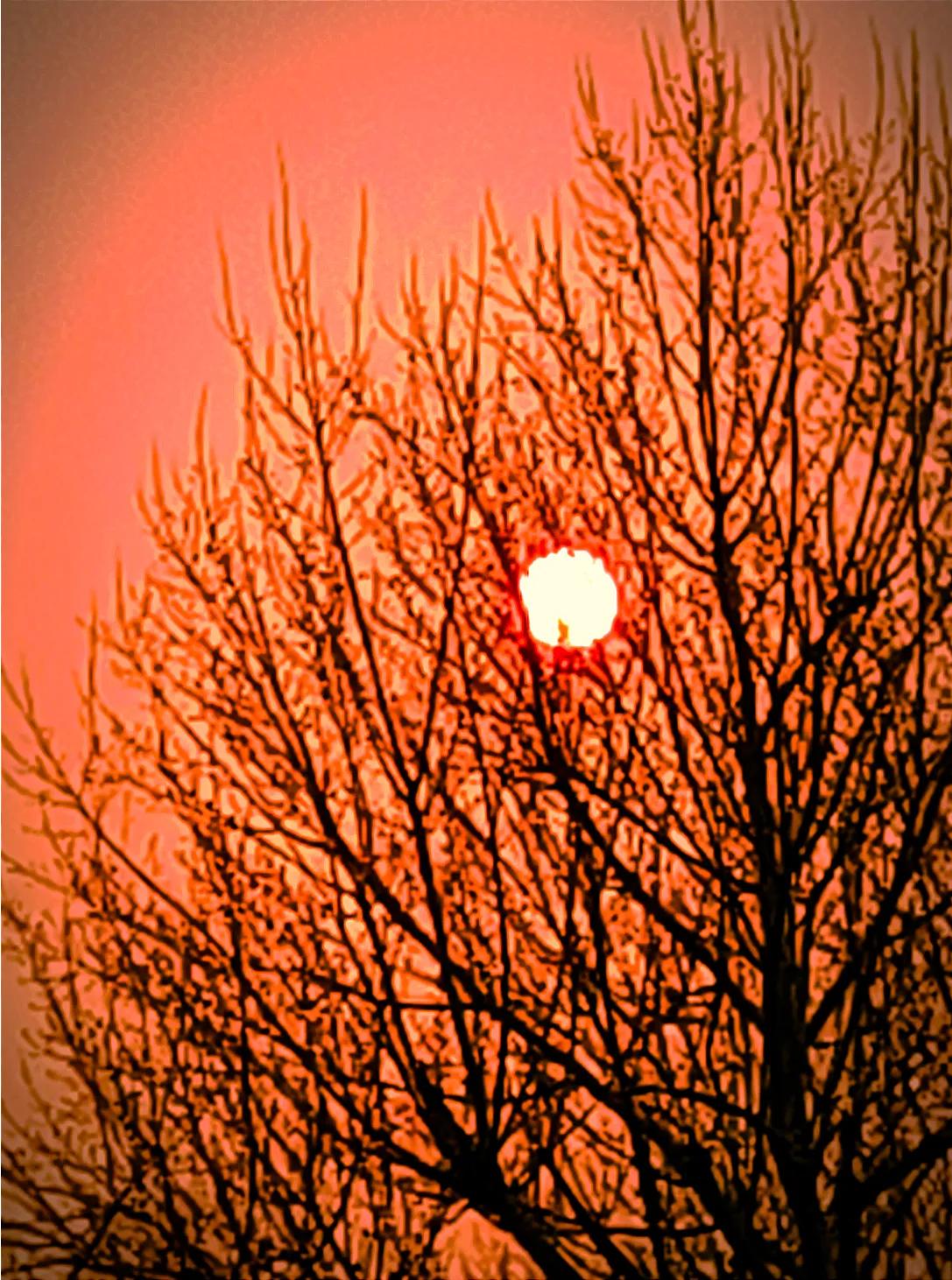 你说的情况没有任何事实依据。 
第一、长春市的公共交通状况非常宽松，就是早晚高峰