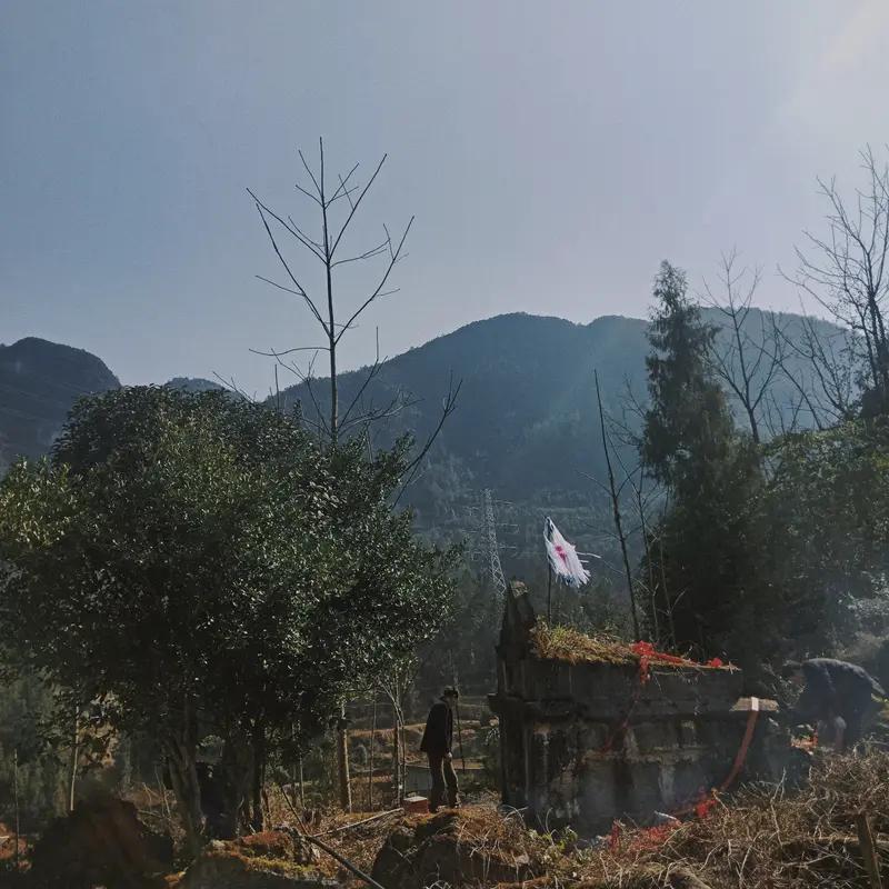 清明祭祖是传统习俗，今年南方部分山区祭祖有了新变化，“无人机吊运猪羊上山”成热点