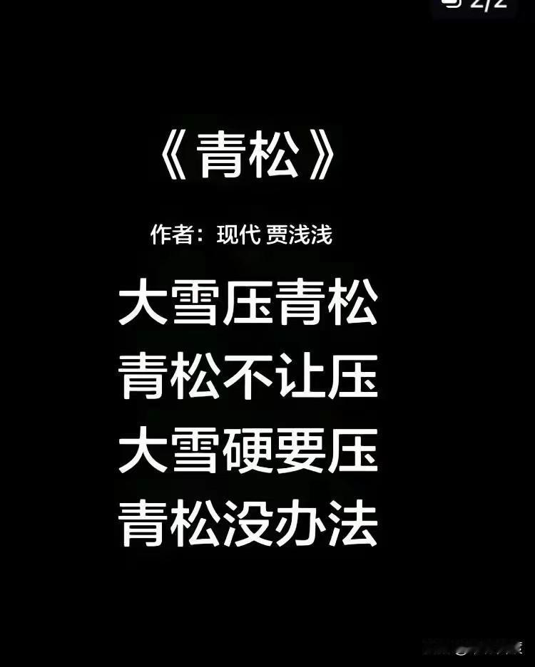 这首诗不愧为出身名门之子的佳作。
此诗对大雪压青松观察得非常仔细，非常到位。作者