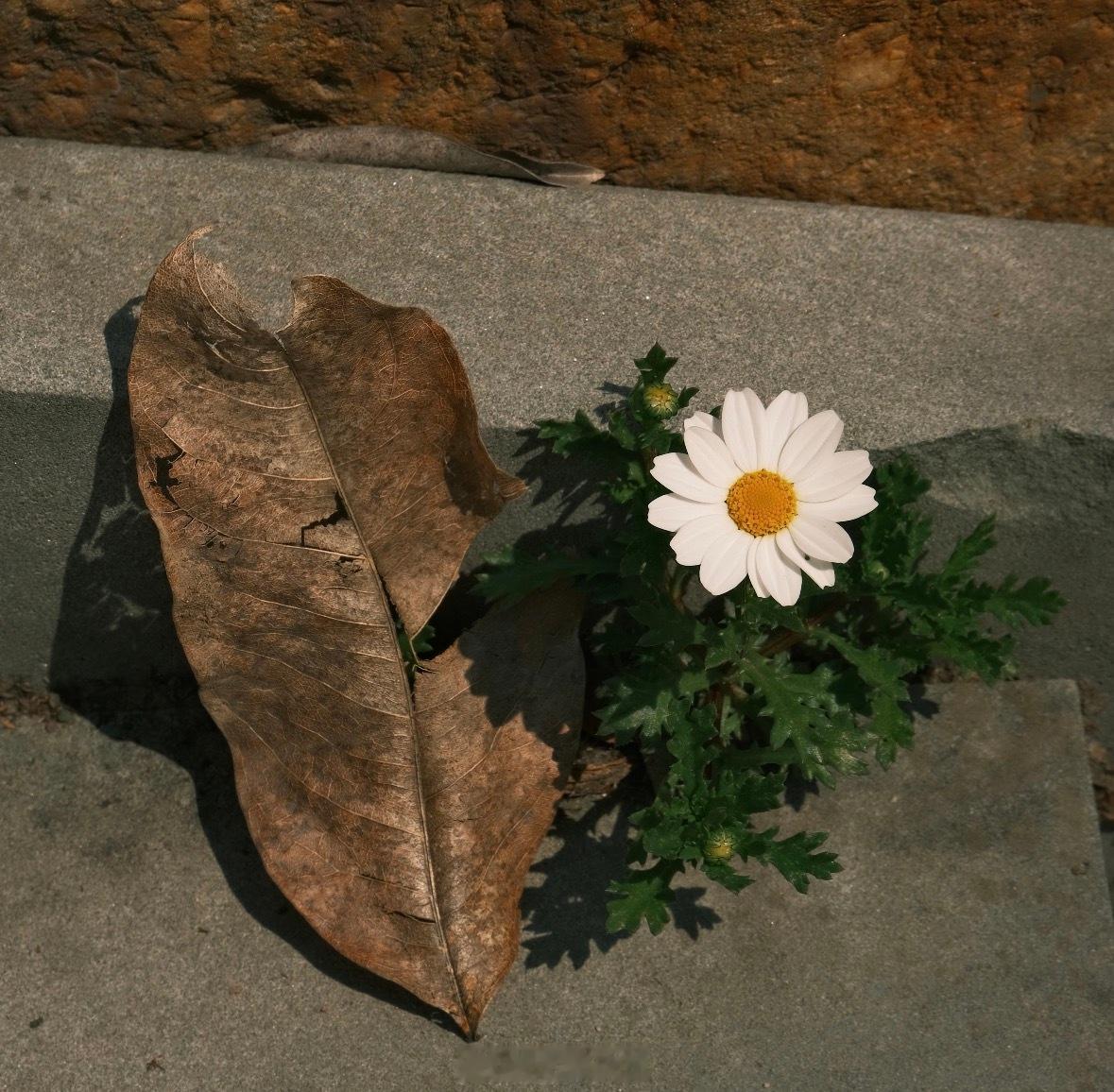 求满几时满，知止方为止。🌼 