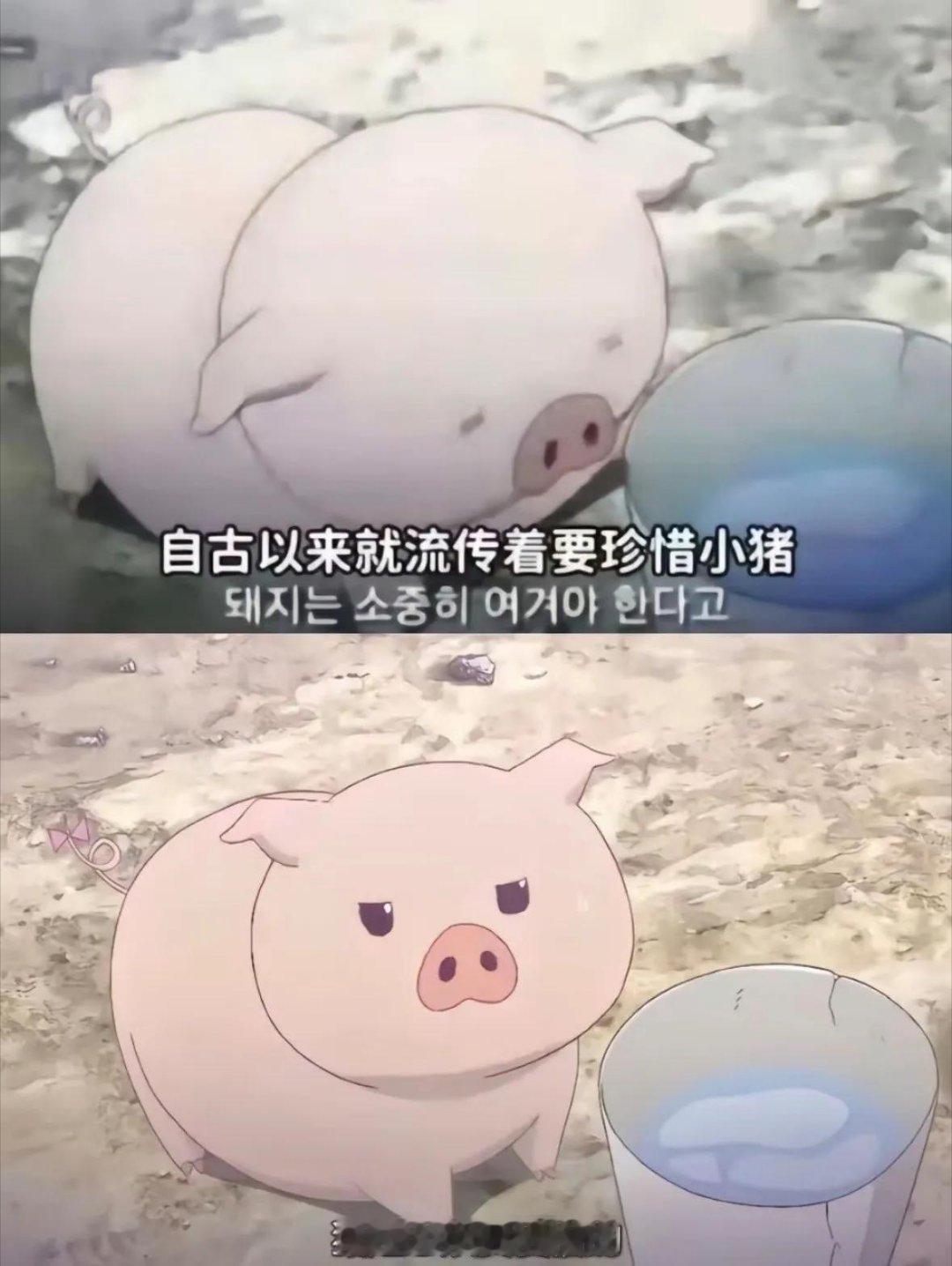 分享图片 ​​​