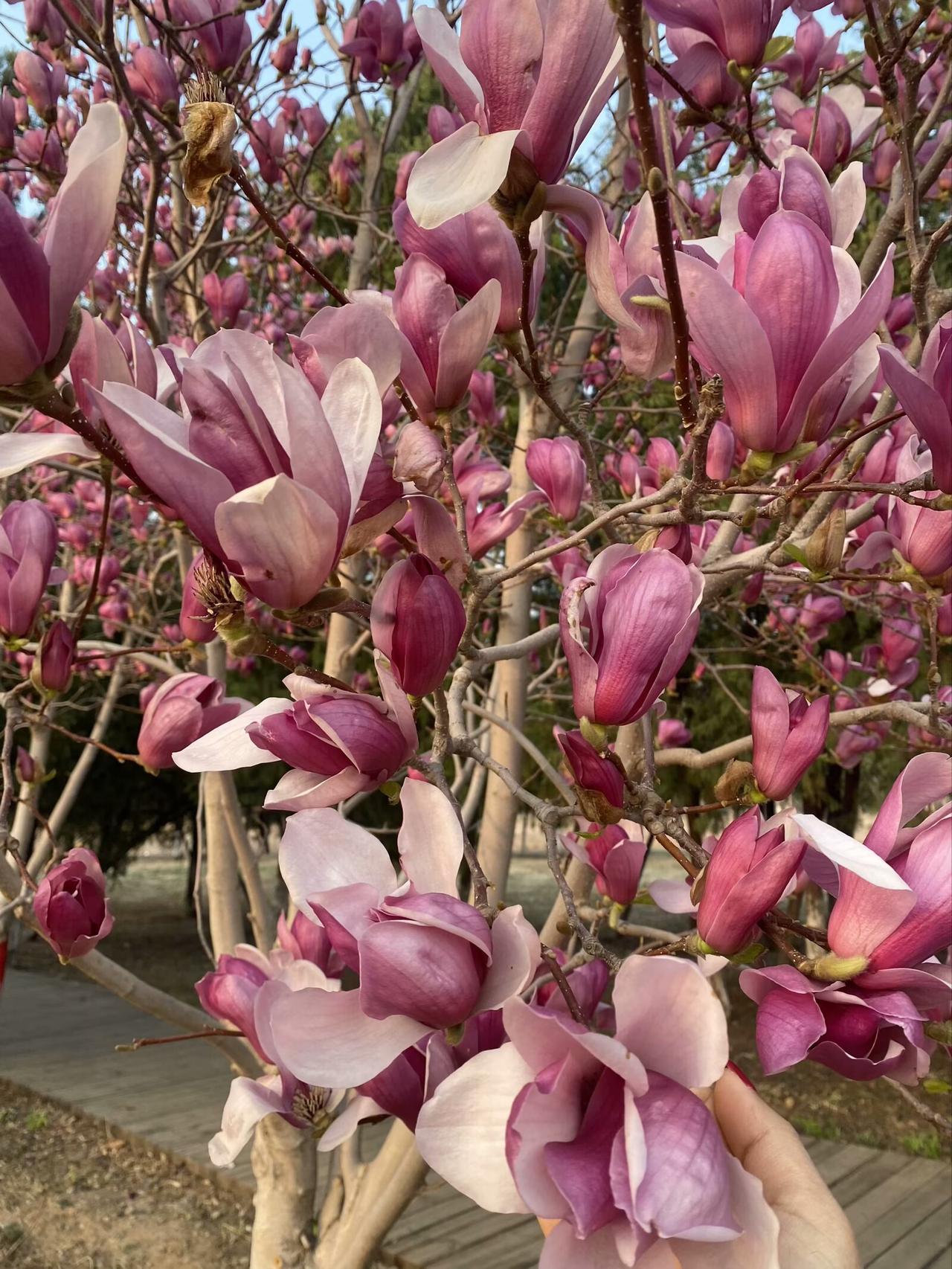 陪孩子写作业的家长有多难