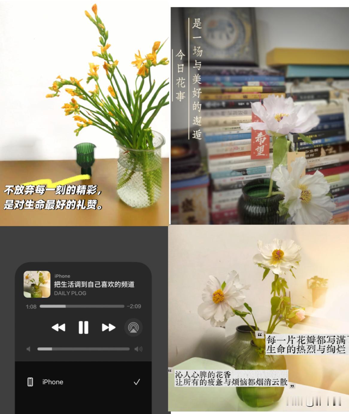 春天，家里就该拥有鲜花。春天的鲜花浪漫 香水小苍兰球 最近超爱插鲜花，两周一次，