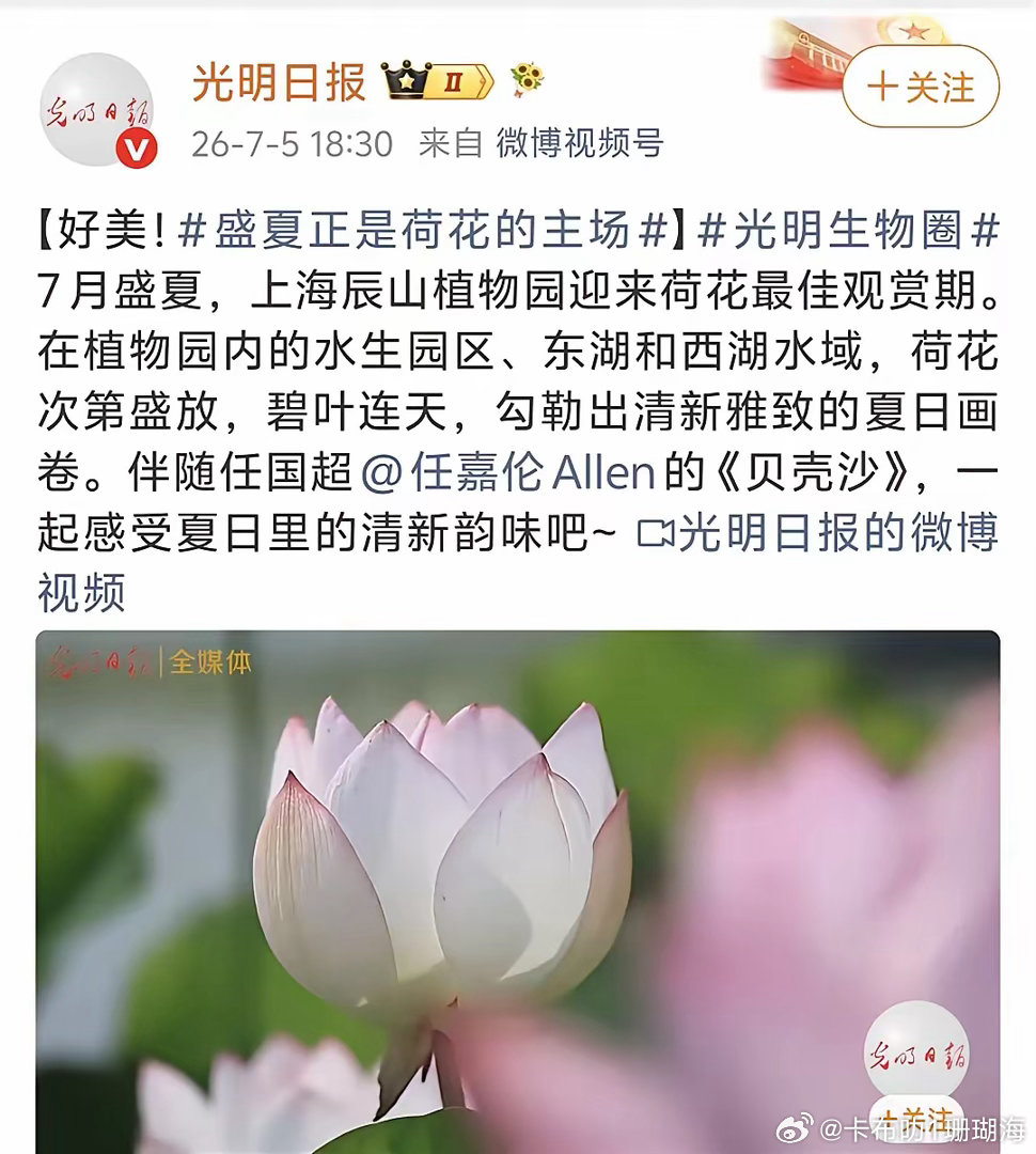 🐏妈力挺任嘉伦，嘉伦平时坐得正行得端，也如同荷花般出淤泥而不染，不给h子留把柄