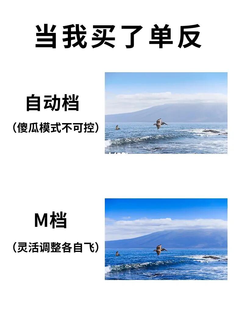 📸M档保姆级教程来了！！