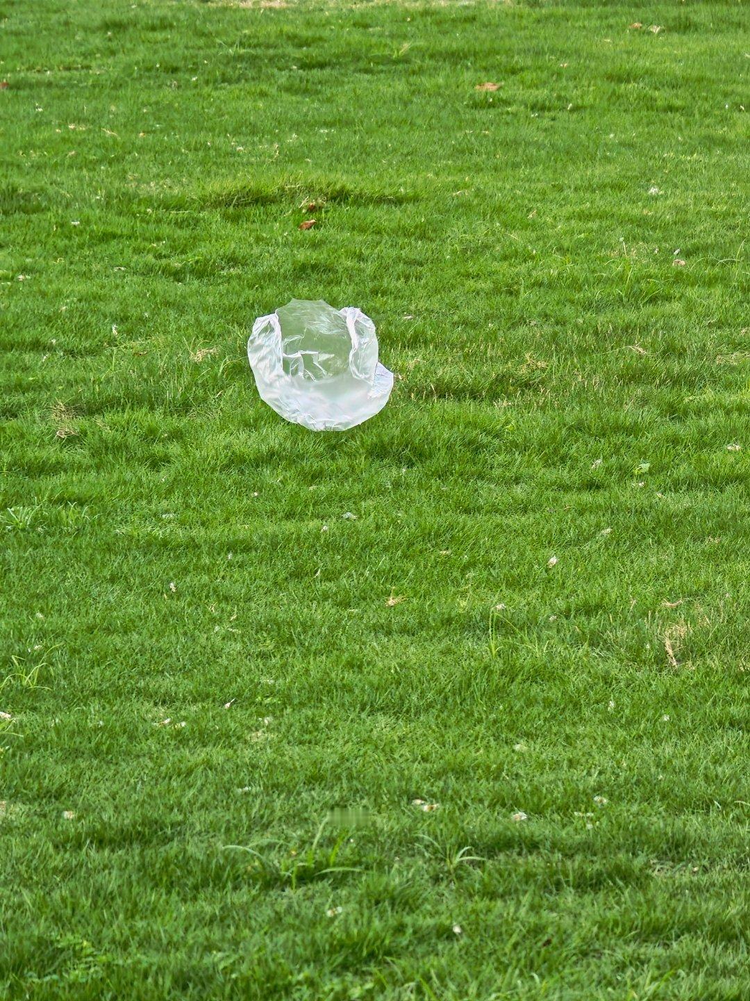 意义的本身是没有意义的，而意义就是意义的本身。 