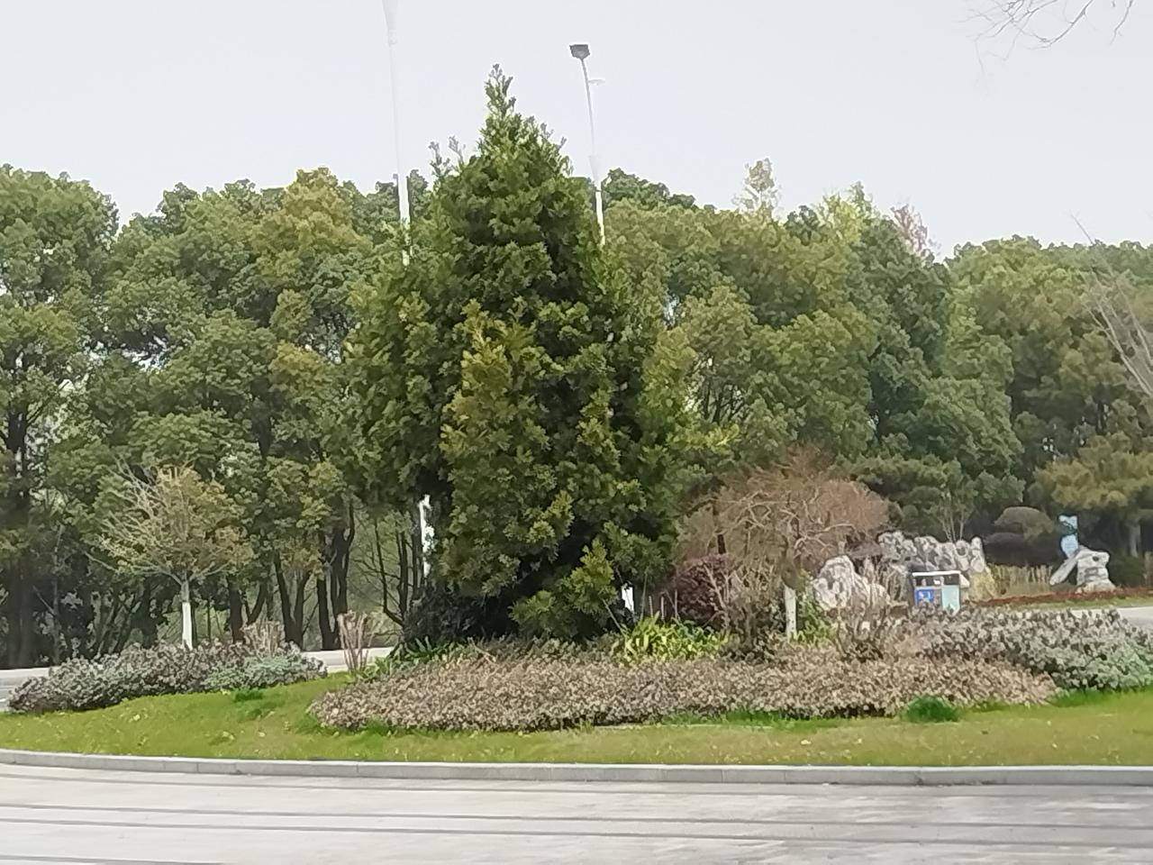 公园美丽景随拍