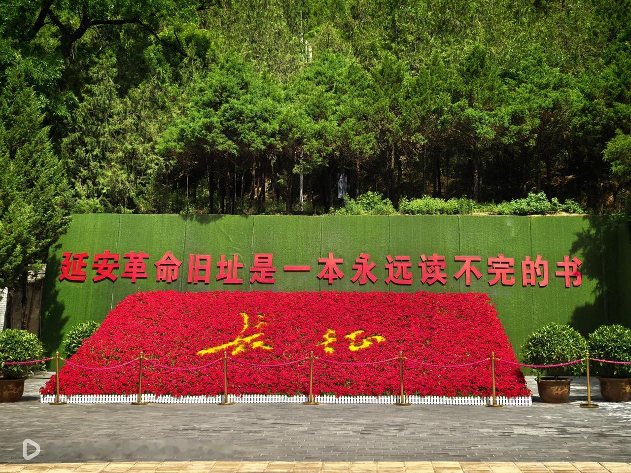 分享一张最近随手拍的照片在扬家岭革命旧址有这样一个绿草坪组成图案，并用鲜红的颜色