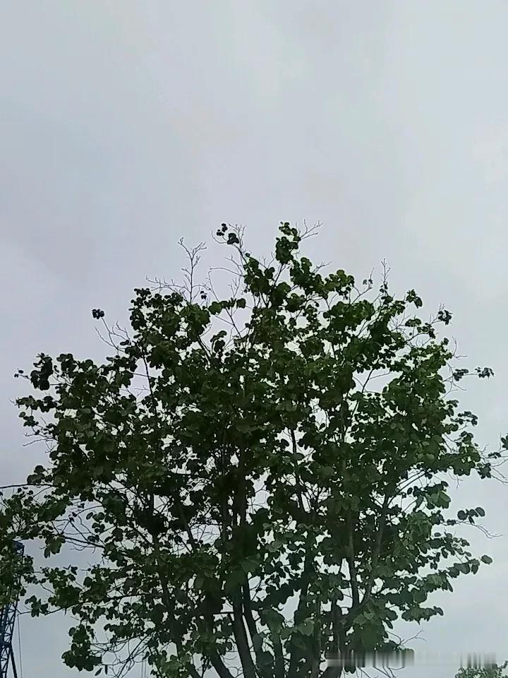 早安！清晨的第一缕阳光穿过窗帘缝隙，落在枕边，像一句温柔的提醒：新的一天开始了，