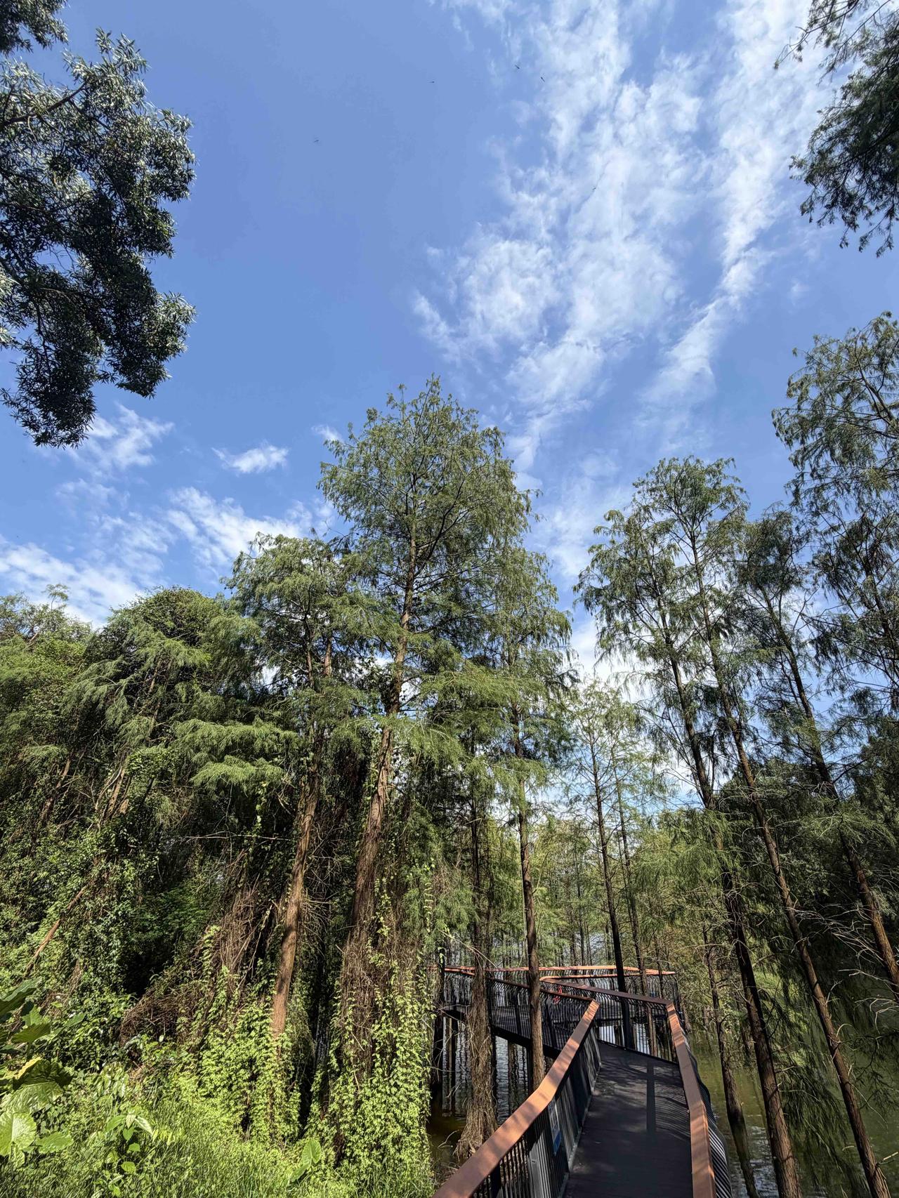 读书到了一定数量，就会发现所有的文学和历史都在说一件事：大梦一场空！

就如当年