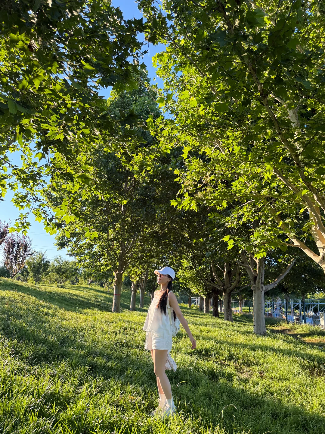 露味🍃