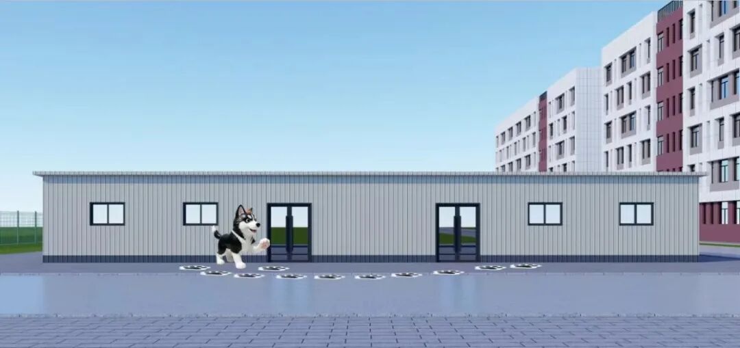 宁夏银川一高校宣布：2026级新生可携带宠物上学，优先接纳猫咪，严禁大型犬、异宠入校