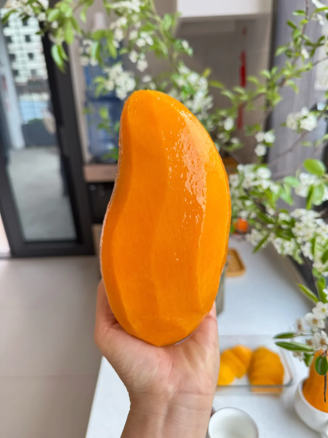 还在傻傻的买假的金煌芒吃吗？