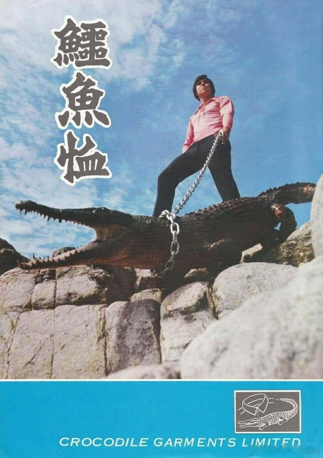 這是70年代的鱷魚恤廣告，不知道那條鱷魚是否真的？🤔香港