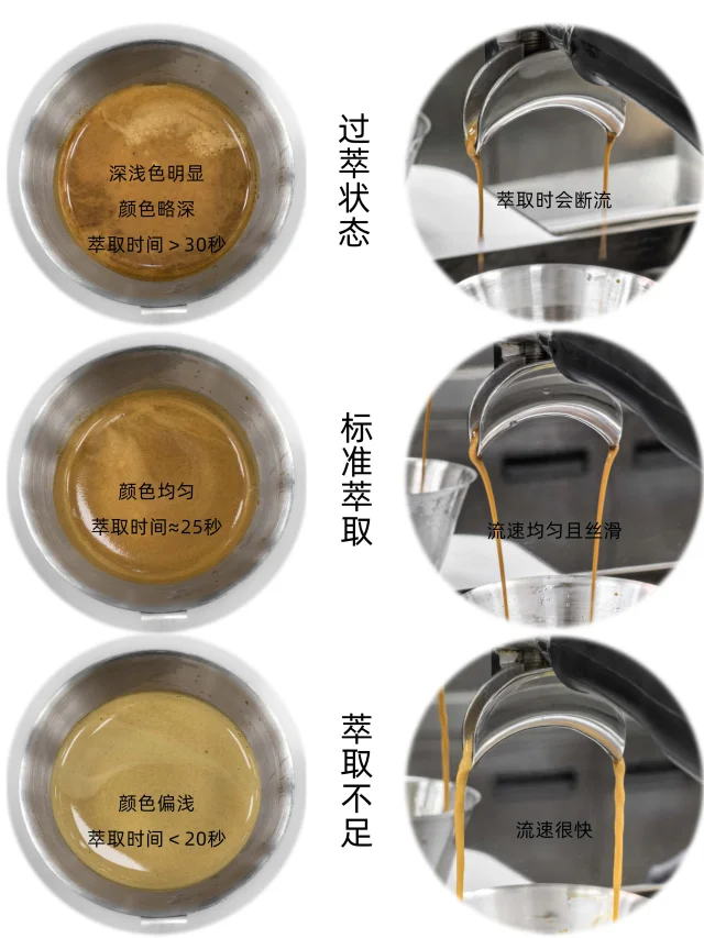 咖啡豆萃取状态对比❗️咖啡小白必看❗