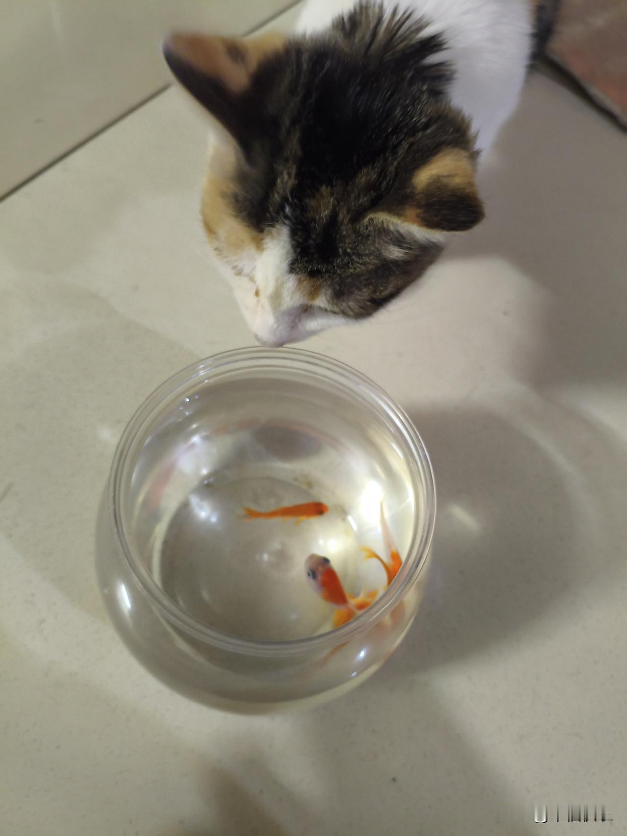 2025.11.17
——深耕，午复盘

今天上午行情震荡下跌，这种行情最没意思