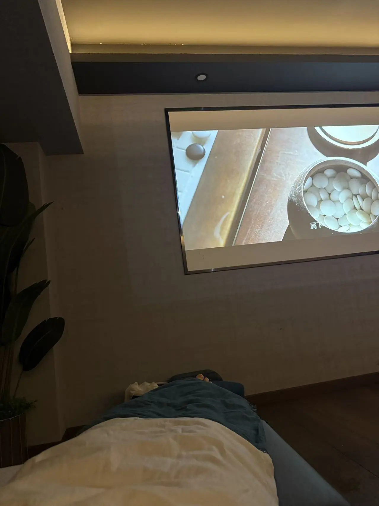 糕糕总，昨日又破费了。