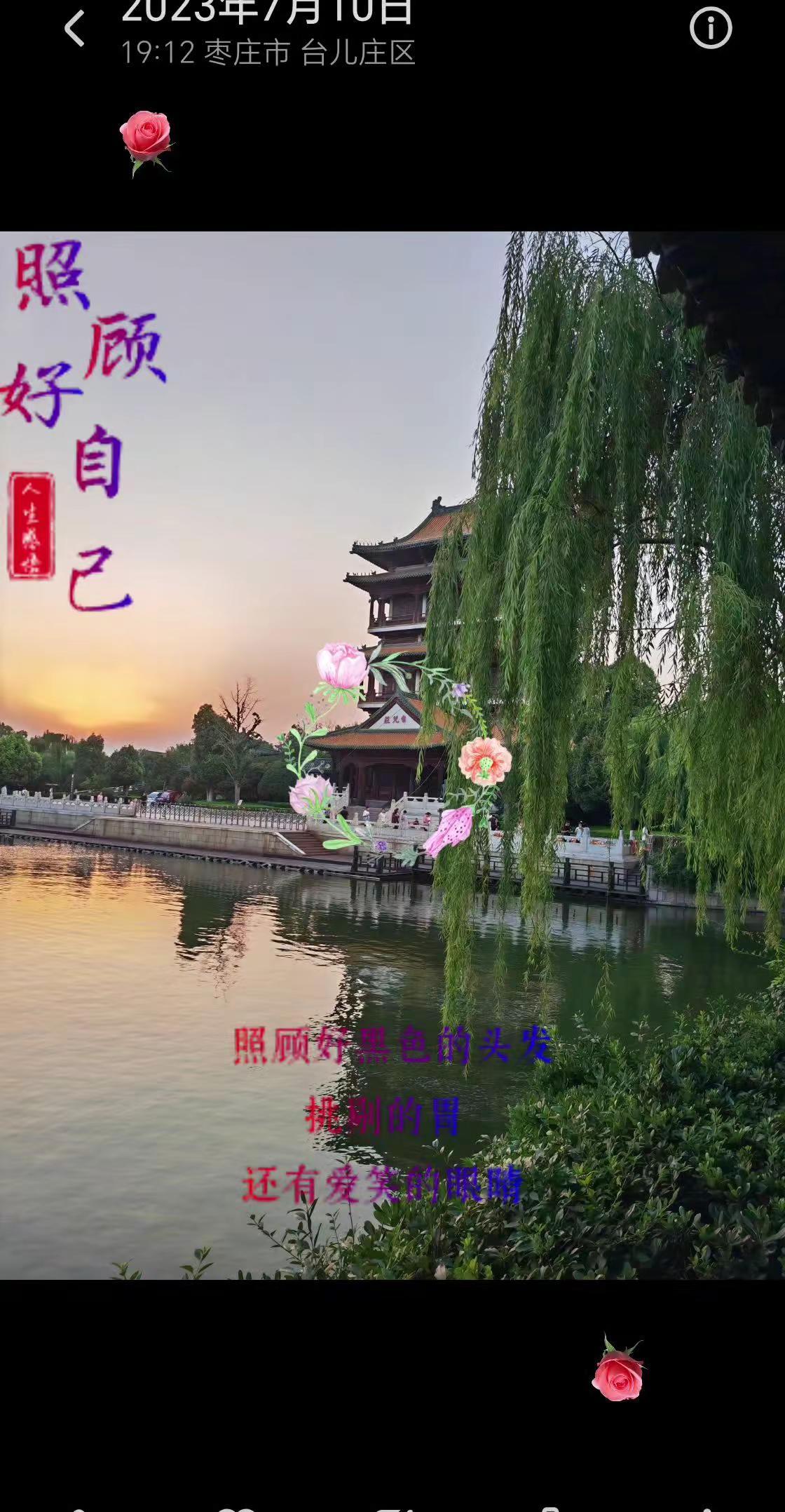一首《四季歌》与朋友们共享