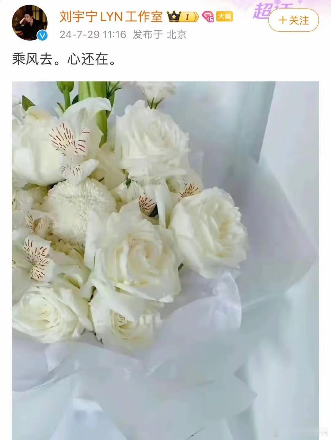 #刘宇宁连续六年悼念已故粉丝#刘宇宁一直记得她，每年都不曾缺席，最美不过同行过，